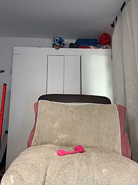 Samispank webcam