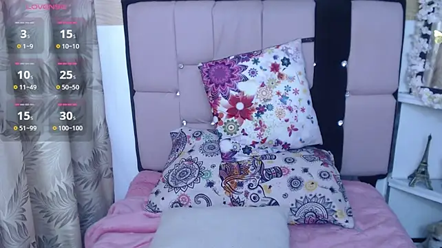 palmer_mIix webcam