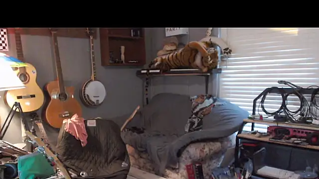 itsjameswebbscope webcam
