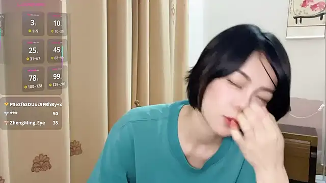 Linda-LL webcam