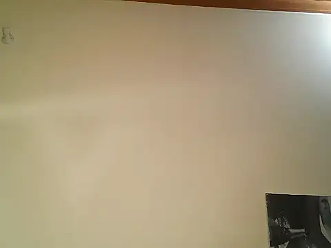 The_nuser webcam