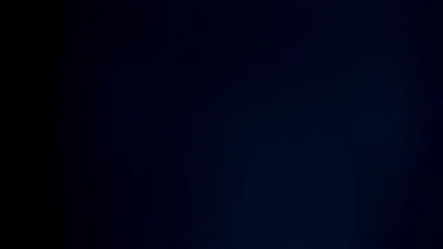 PamelaCollinsVS webcam