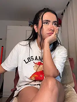 Samispank webcam