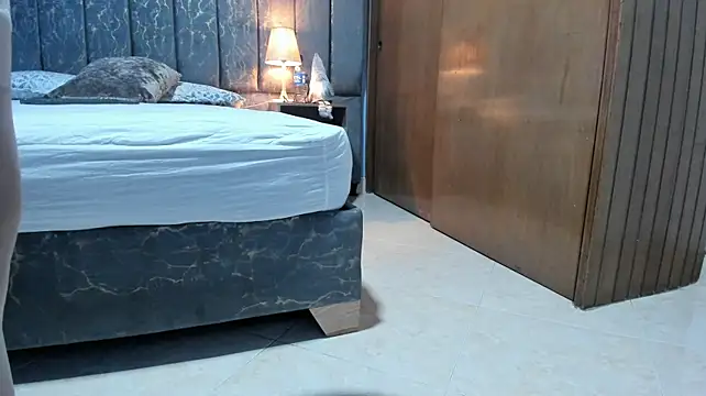Dennerys_velle webcam