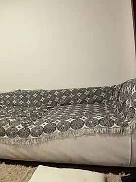 lht2019 webcam