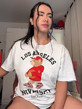 Samispank webcam