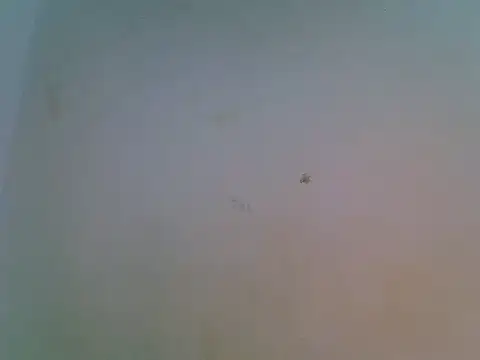 ebony_petite9 live cam preview