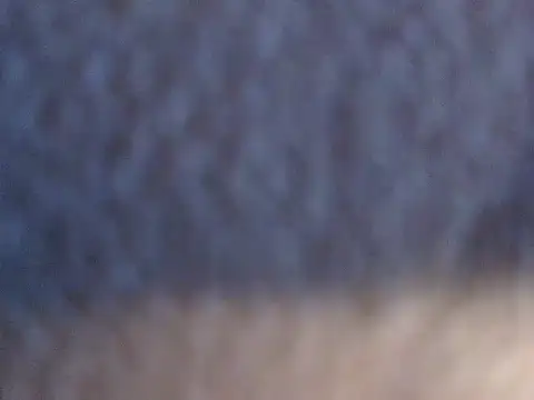 hot_sexy_cyn