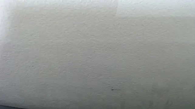 lorena_prg7 webcam