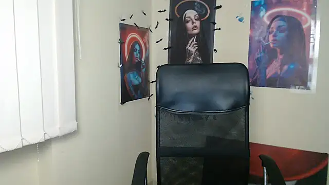 StellaCRL webcam