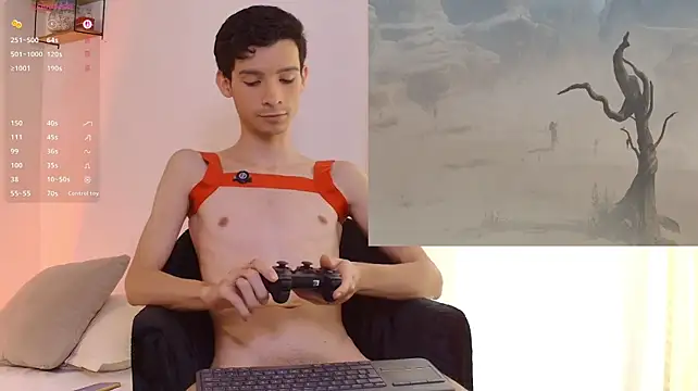 VicenteFerrer webcam