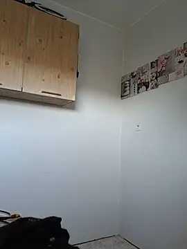 Fformesx webcam