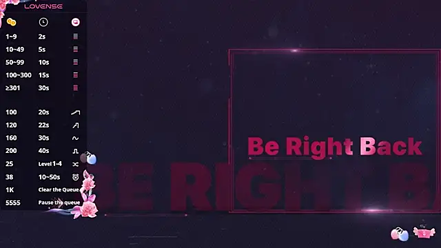 _flipped_ webcam