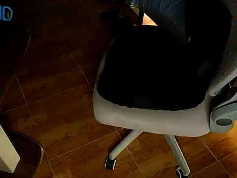 PTacb-12345 webcam