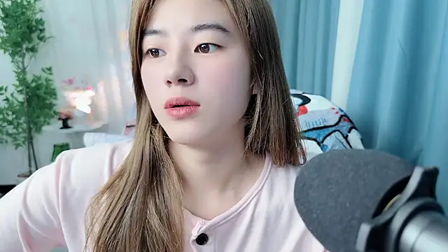 Nicoa2026 webcam