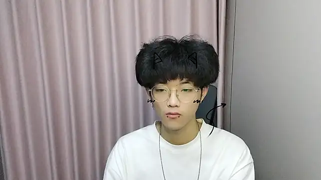 wssoo11 webcam