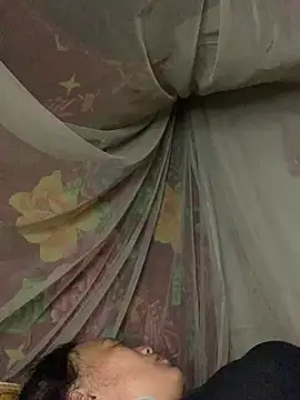 hancook webcam