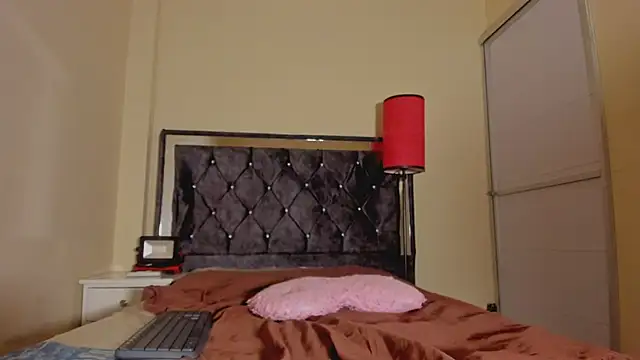 Hetzer_ webcam
