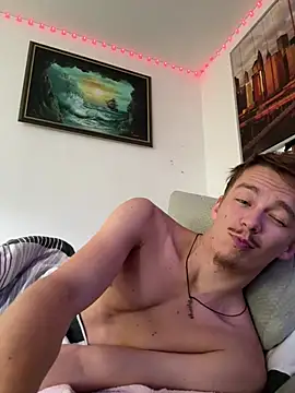 Toyjungee webcam
