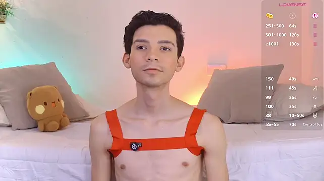 VicenteFerrer webcam