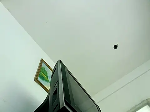xandra252 webcam
