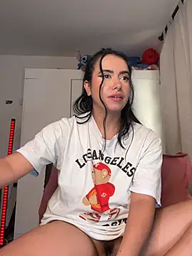 Samispank webcam