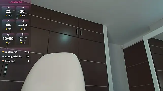 ShallomMuse webcam