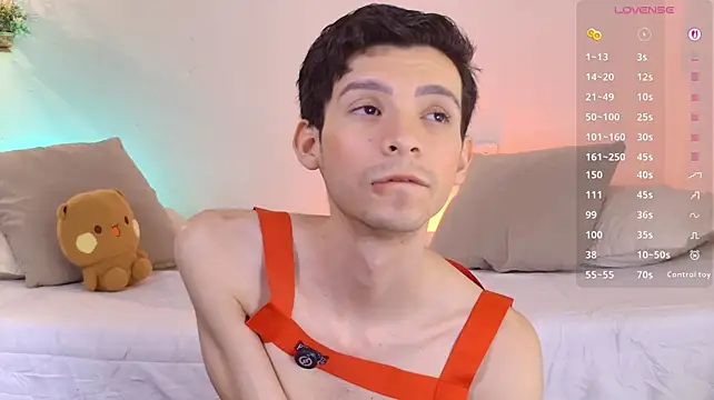 VicenteFerrer webcam