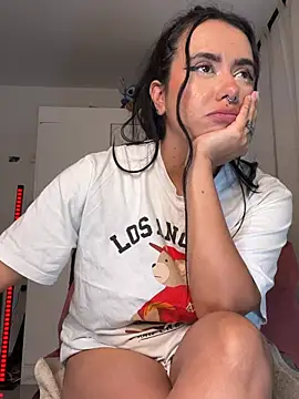Samispank webcam