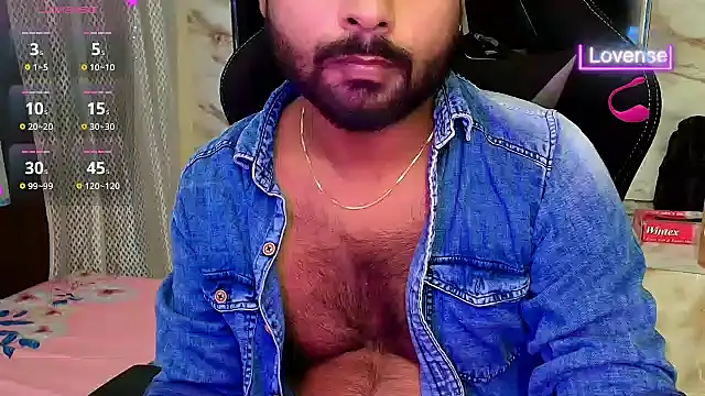 Silvershadde webcam