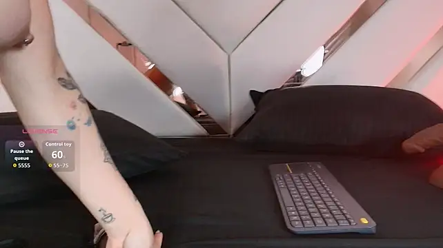 Noa_butterfly_ live cam preview