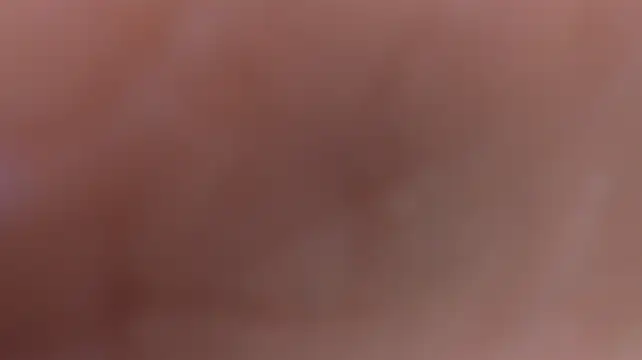 Laila_Star_