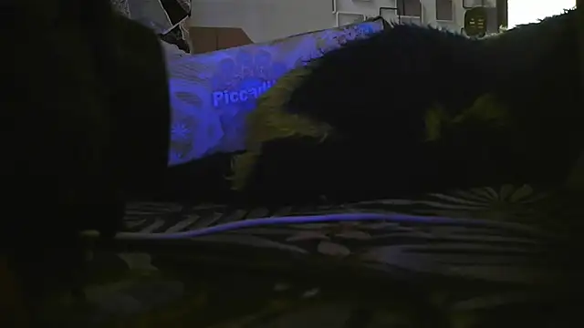 bialoba7