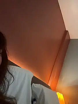 DarkDesin webcam