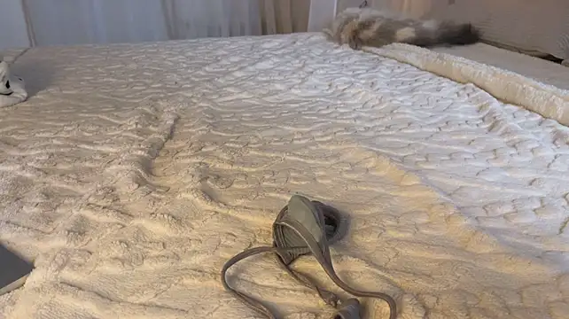 doomsdaybaby live sex cam