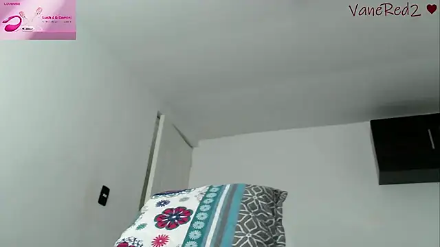 vanered2 webcam