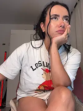 Samispank