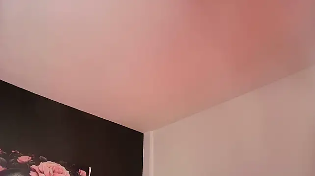 EvaaFoxxy1 webcam