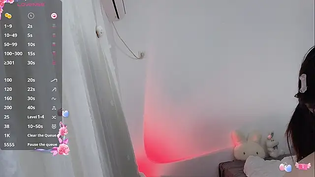 _flipped_ webcam