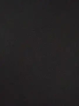 ViktoriaToytor55 webcam