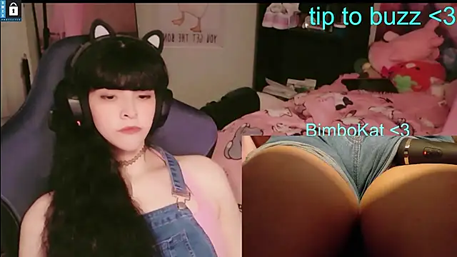 BimboCat webcam