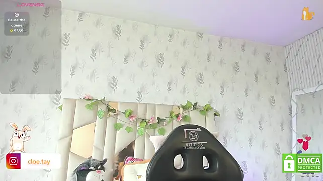 Cloee_tay1