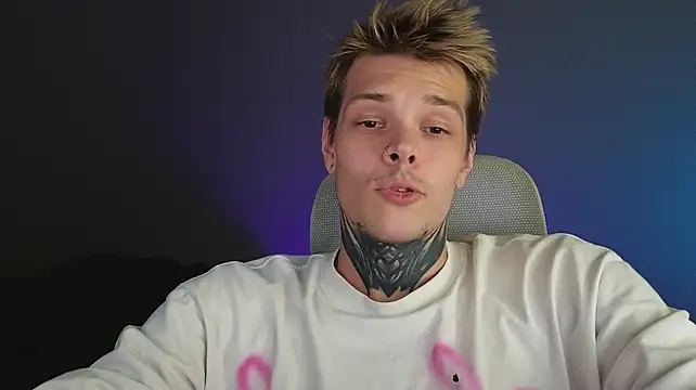 DENIS_HERE webcam