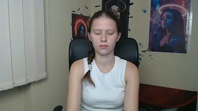 StellaCRL webcam