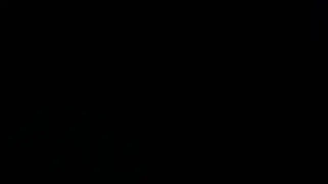 Twinkcam2 webcam