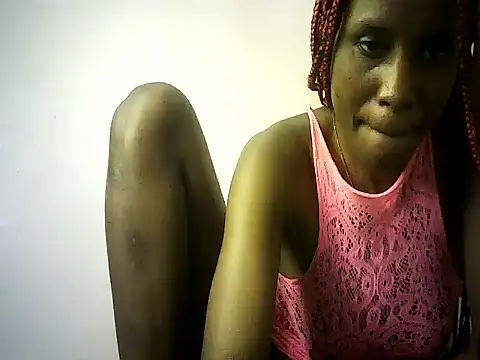 DelteAfriq webcam