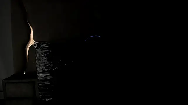 AmiraDulcee webcam