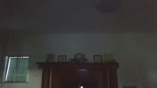 llopaco webcam