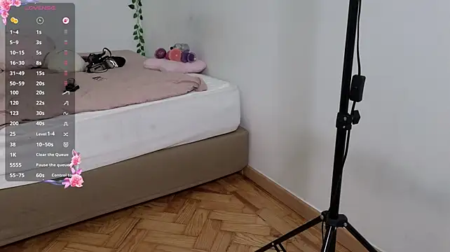 LumiNika webcam