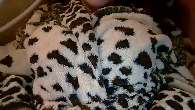 Nivella webcam